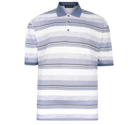 Broad Stripe Polo Shirt