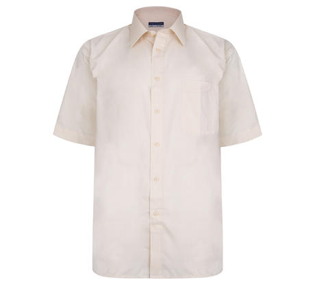 Plain Short Sleeve Shirt