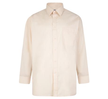 Long Sleeve Plain Shirt