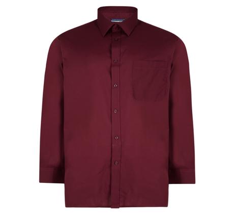 Long Sleeve Plain Shirt