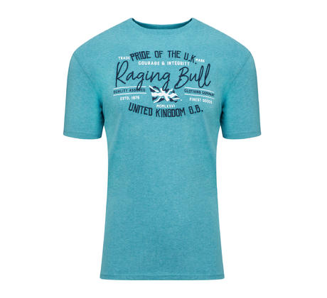 Big and tall pride deals shirts