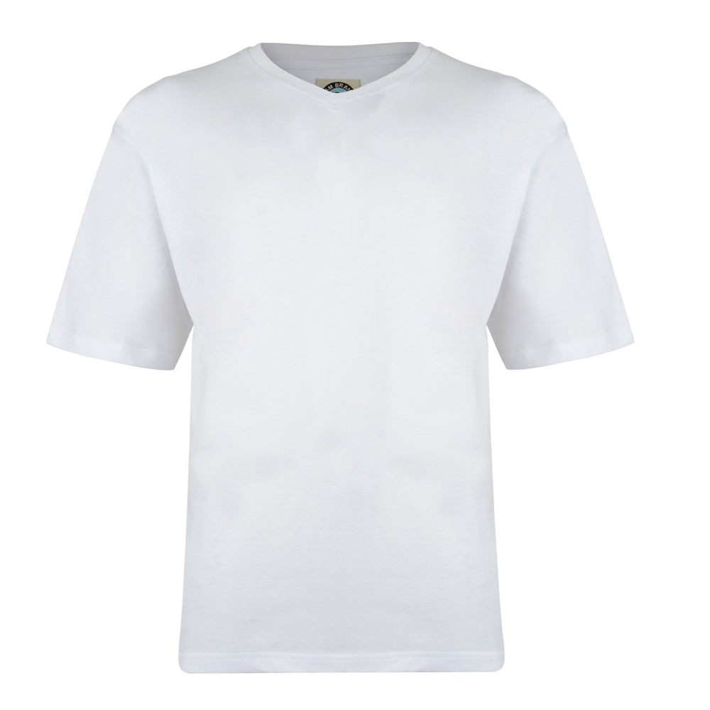 Plain V-Neck T-Shirt