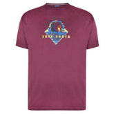 Alaska Print T-Shirt
